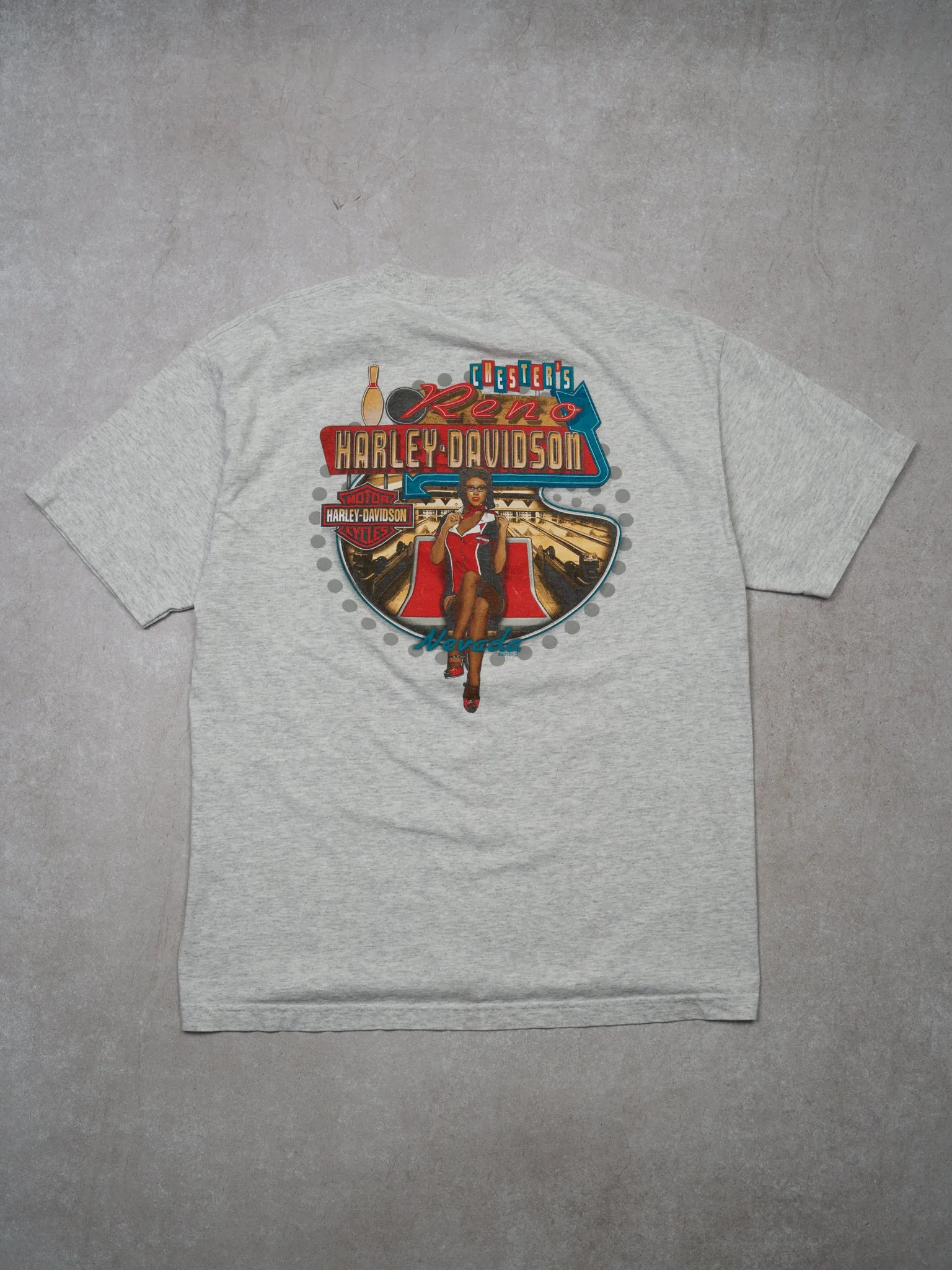 2013 Grey Harley Davidson Nevada Tee (M)