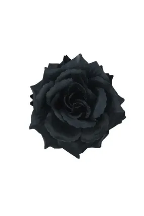 Black Double Rose Hair Clips