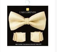 Boys Fancy Bow Tie and Hanky Set