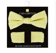 Boys Fancy Bow Tie and Hanky Set