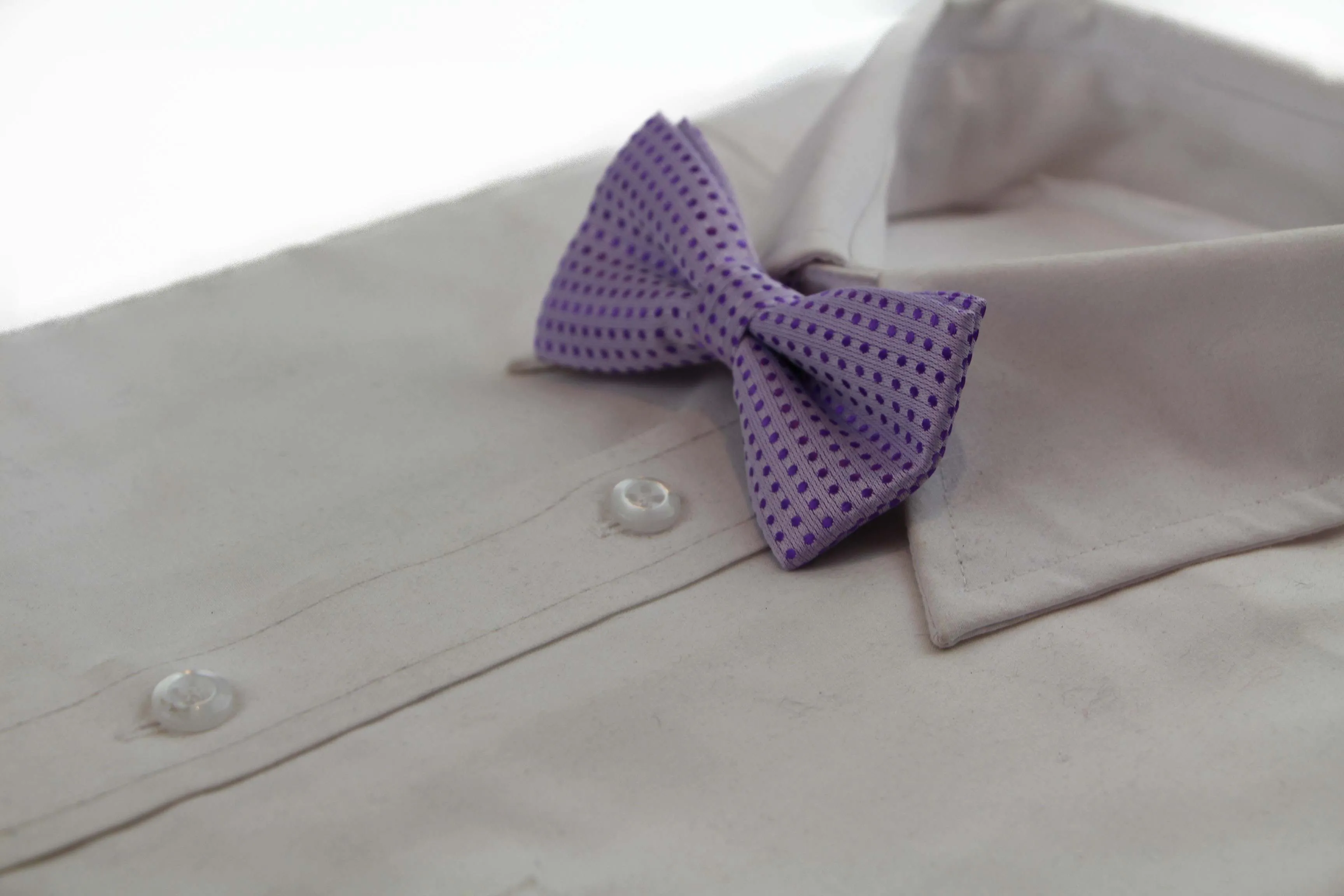 Boys Violet Polka Dot Pattern Bow Tie