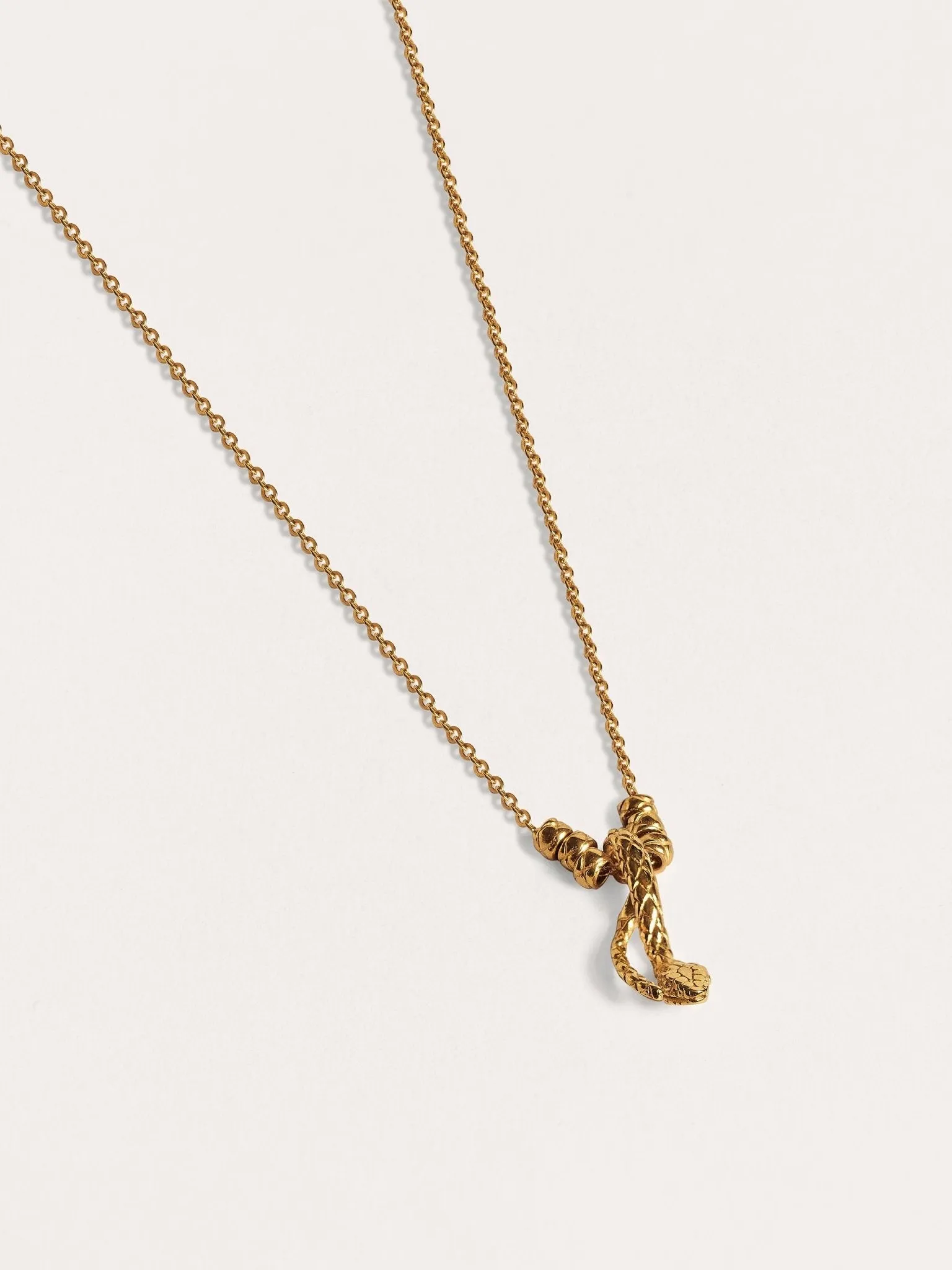 Danae Silver Snake Chain Necklace