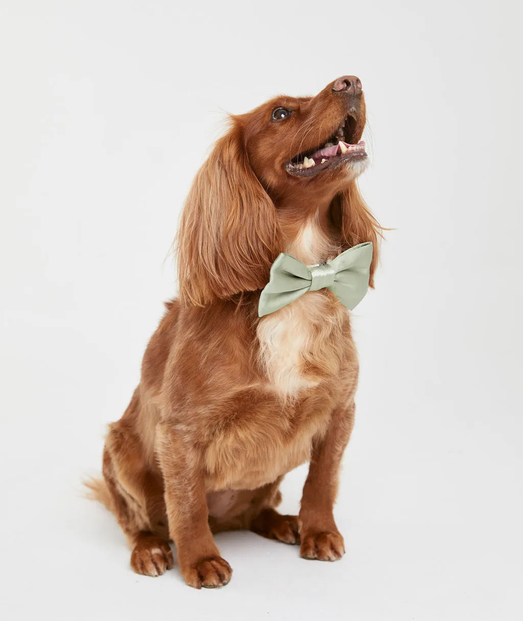 Dog Satin Bow Tie