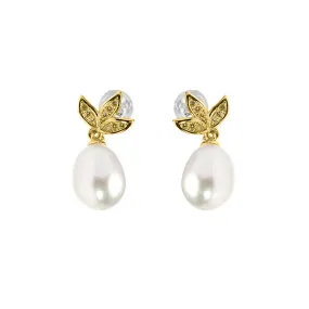 Elegant Freshwater Pearl Earrings WE00385