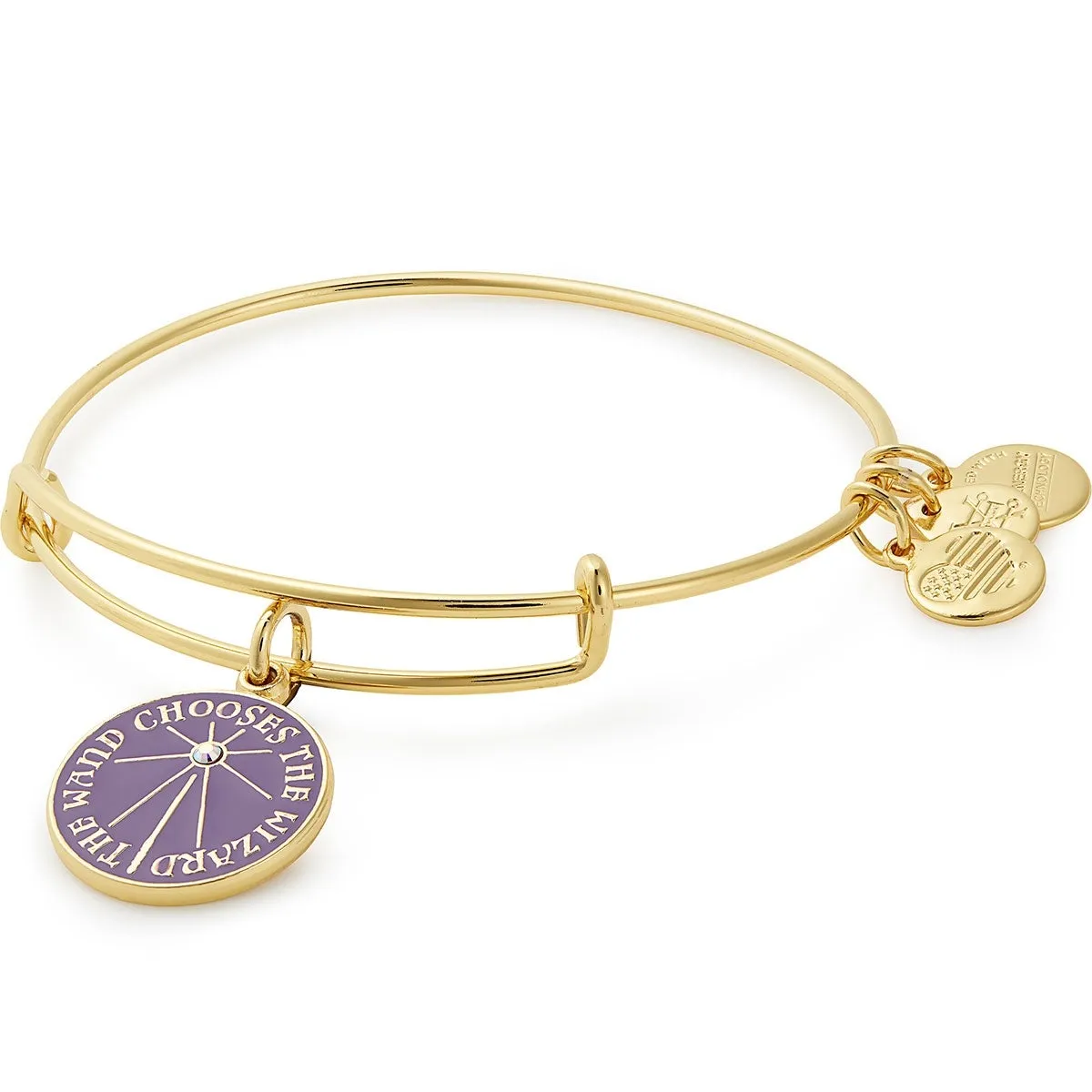 Harry Potter 'The Wand Chooses the Wizard' Charm Bangle