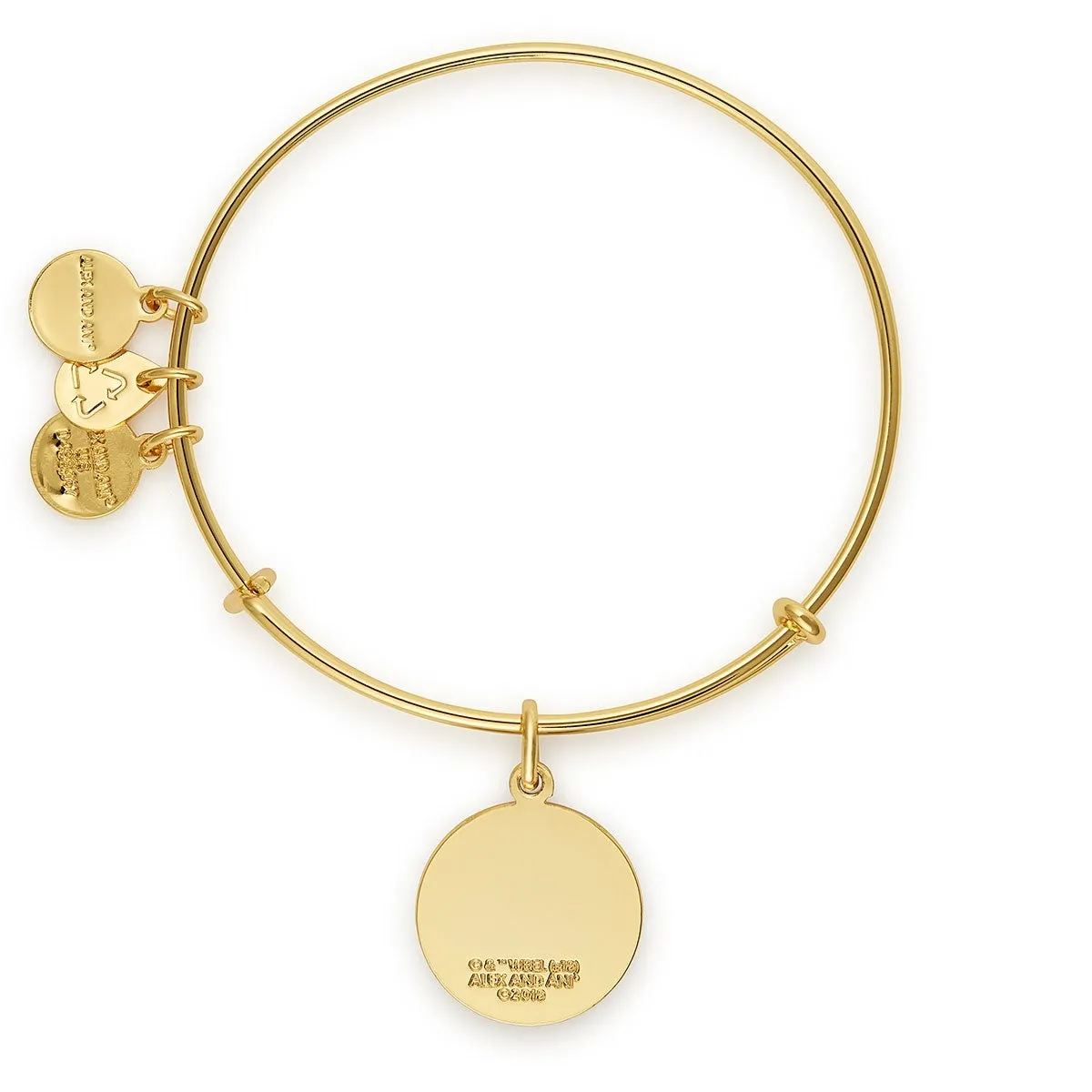 Harry Potter 'The Wand Chooses the Wizard' Charm Bangle